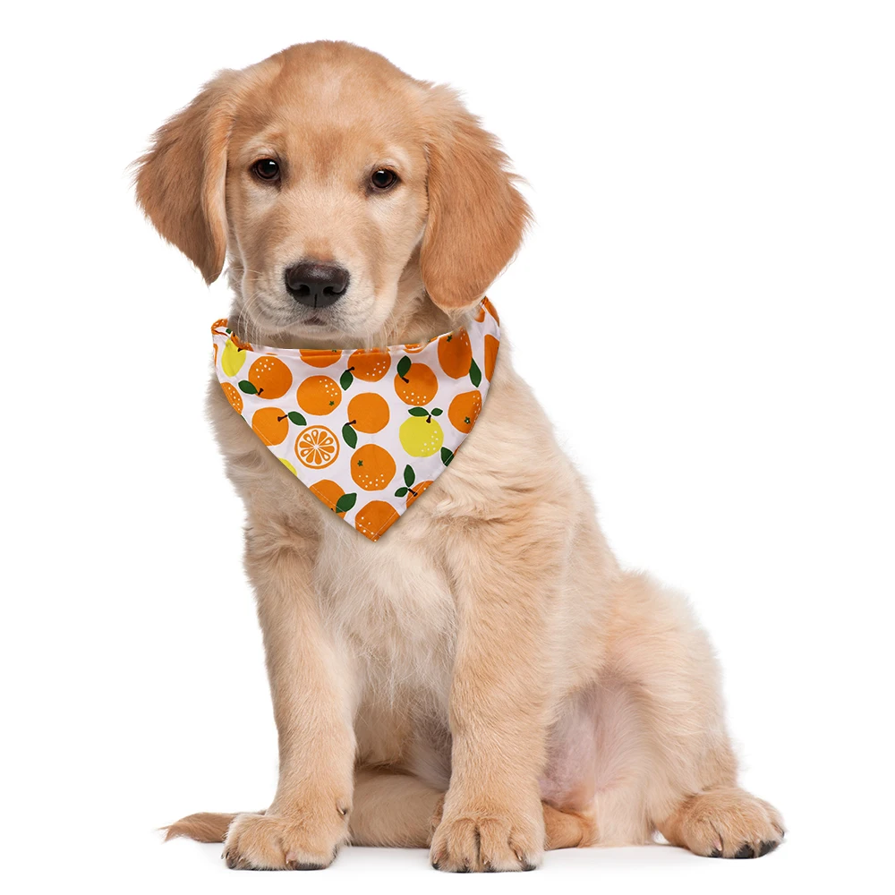 50pcs Dog Bandana Fruit Style Pet Products Small Dog Cat Puppy Bandanas Scarf Cotton Dogs Bandanas Bibs Dogs Pets Accessories 5