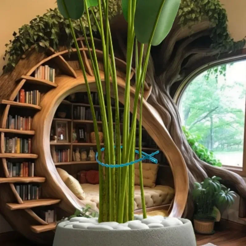 500/20pcs plant ties plastic plant cable ties plastic plant clips plastic plant supports plant clips plant stem support plant support connector plant support stick Adjustable Plastic Plant Cable Ties Reusable Self-locking Ties Garden Support Plant Vine Tomato Stem Clip Fastener