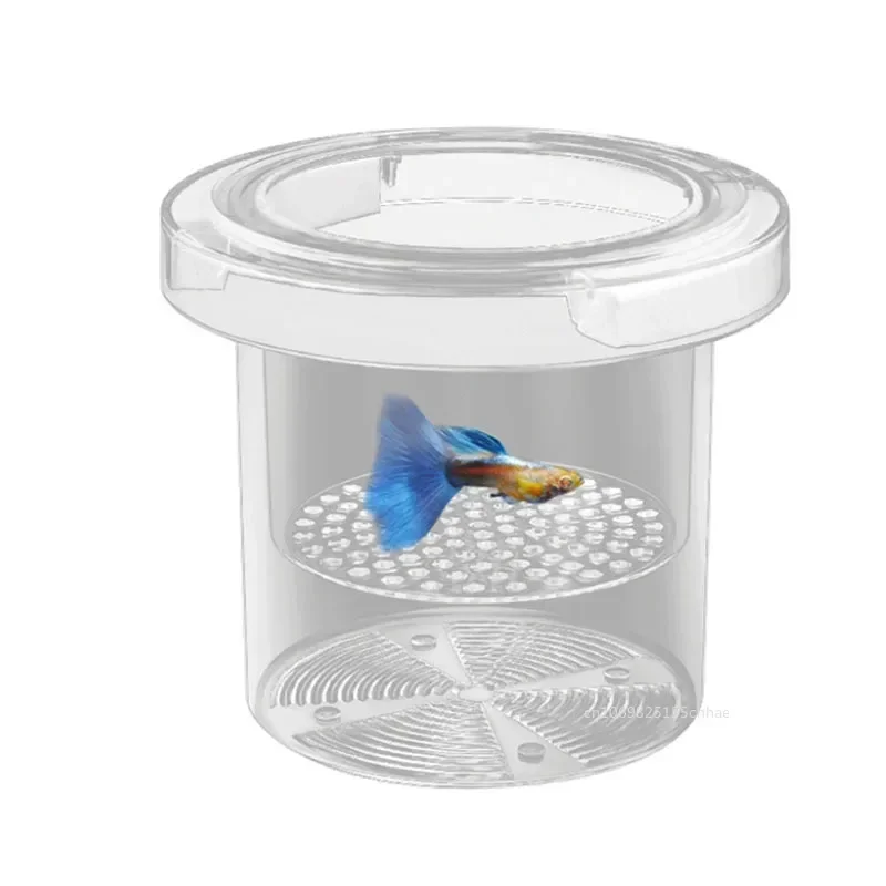 Acrylic Floating Fish Breeding Isolation Box Round Aquarium Breeder Feeder Fish Tank Hatching Incubator Aquarium Hatchery Tools