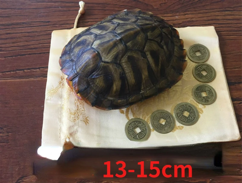 Real tortoise shell specimens play with scientific research and medicinal real tortoise shell ornaments household accessories 5