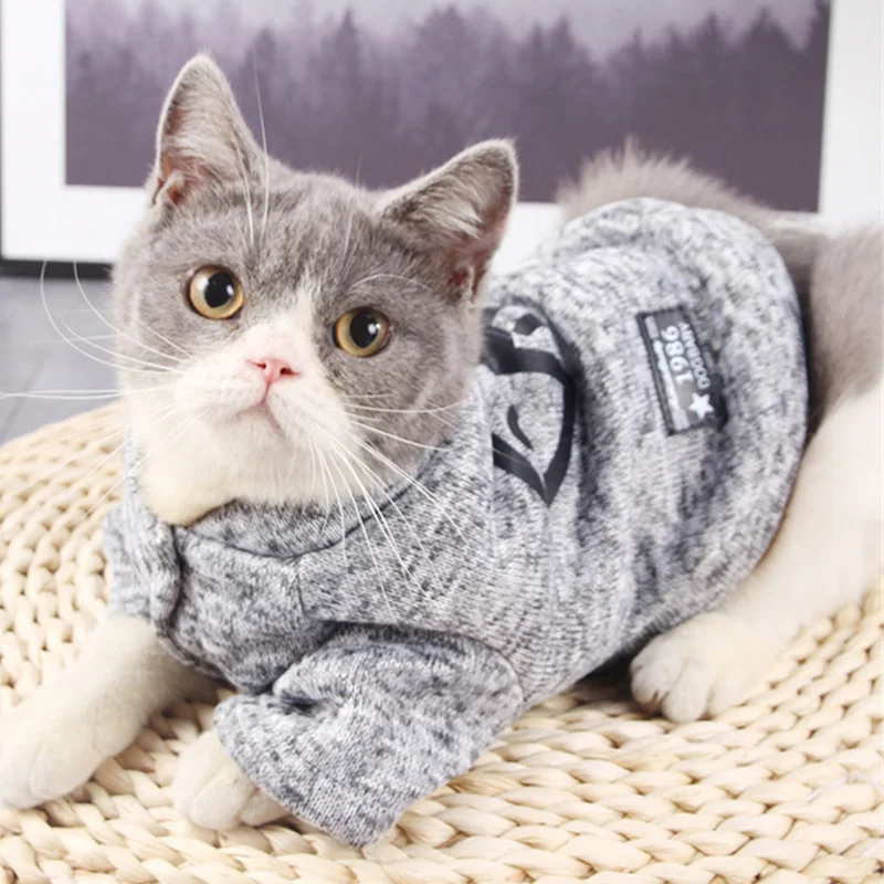 Treat Ürself cat fur coat Cat Fur Clothes Coat Made Of Dog Fur Cats Hoodies Autumn Winter