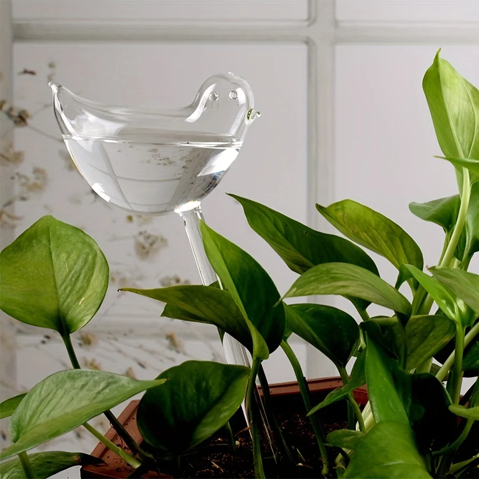 thumbnail image 2 of Evergreen Self-Watering Globe - HPG Brands 2 of 12