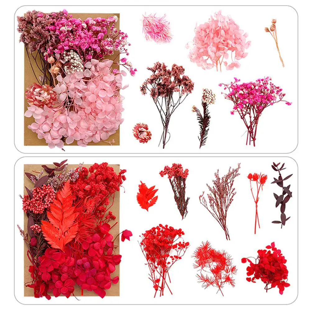 1 Bag Dried Flowers Pressed Dry Flower For DIY Phone Case Epoxy Resin Filling Pendant Jewelry Making Crafts Nail Art Decor