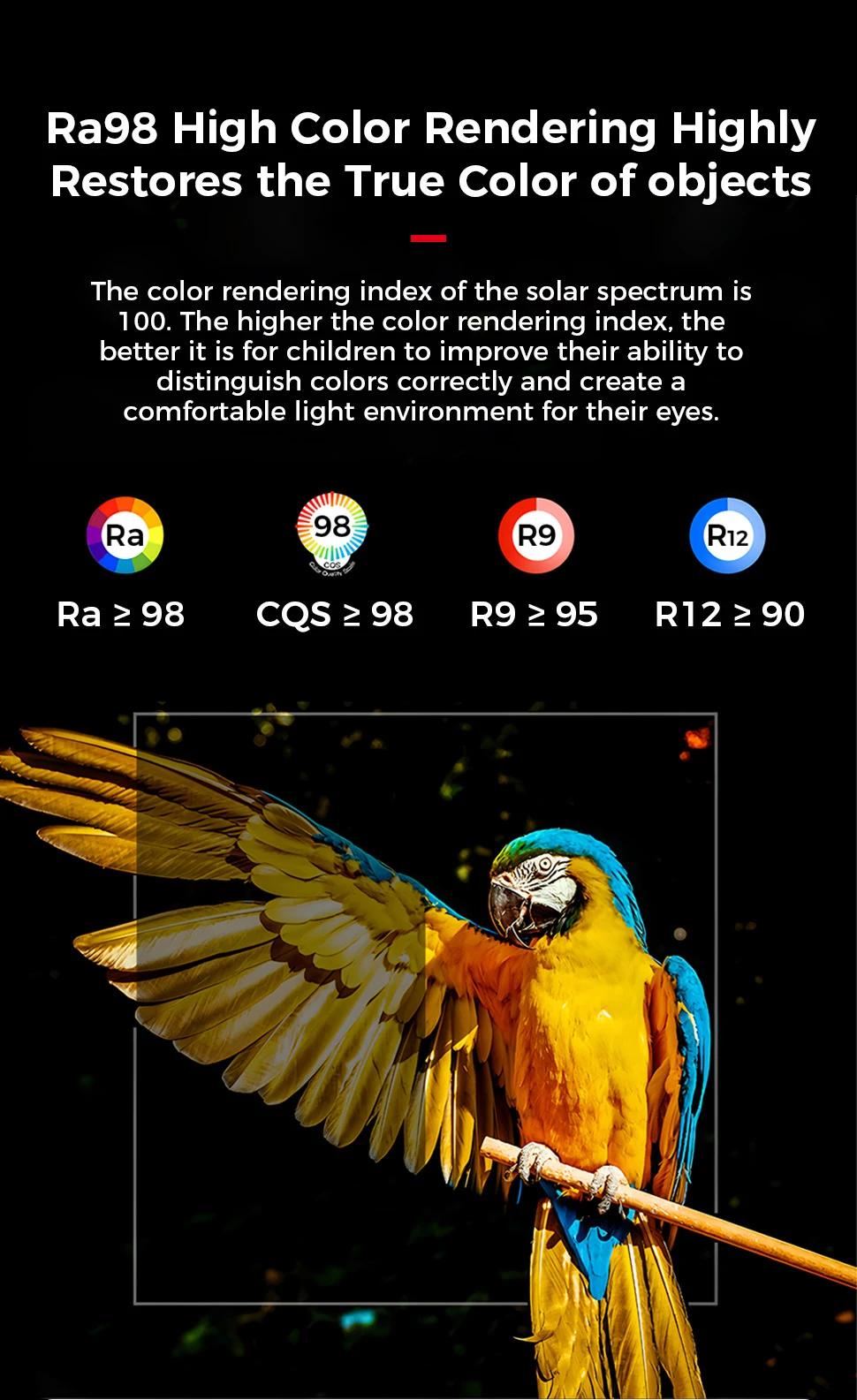 Ambiance lumineuse tricolore