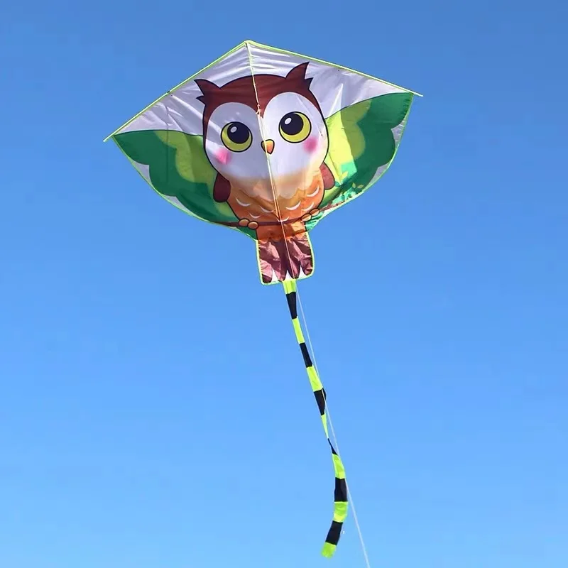 free shipping children kite flying kids outdoor toys kite factory ripstop nylon fabric eagle butterfly kites rainbow high cerf