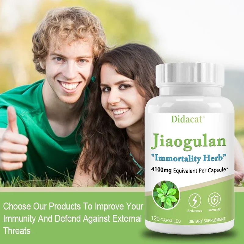 Jiaogulan Supplement Antioxidants Metabolism Mitochondrial Support
