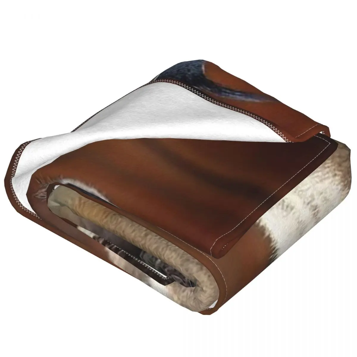 ī��Į ������ ��� �÷���, ���� �ö��� ������ ����Ʈ ������ ��� ħ�� ����� ����