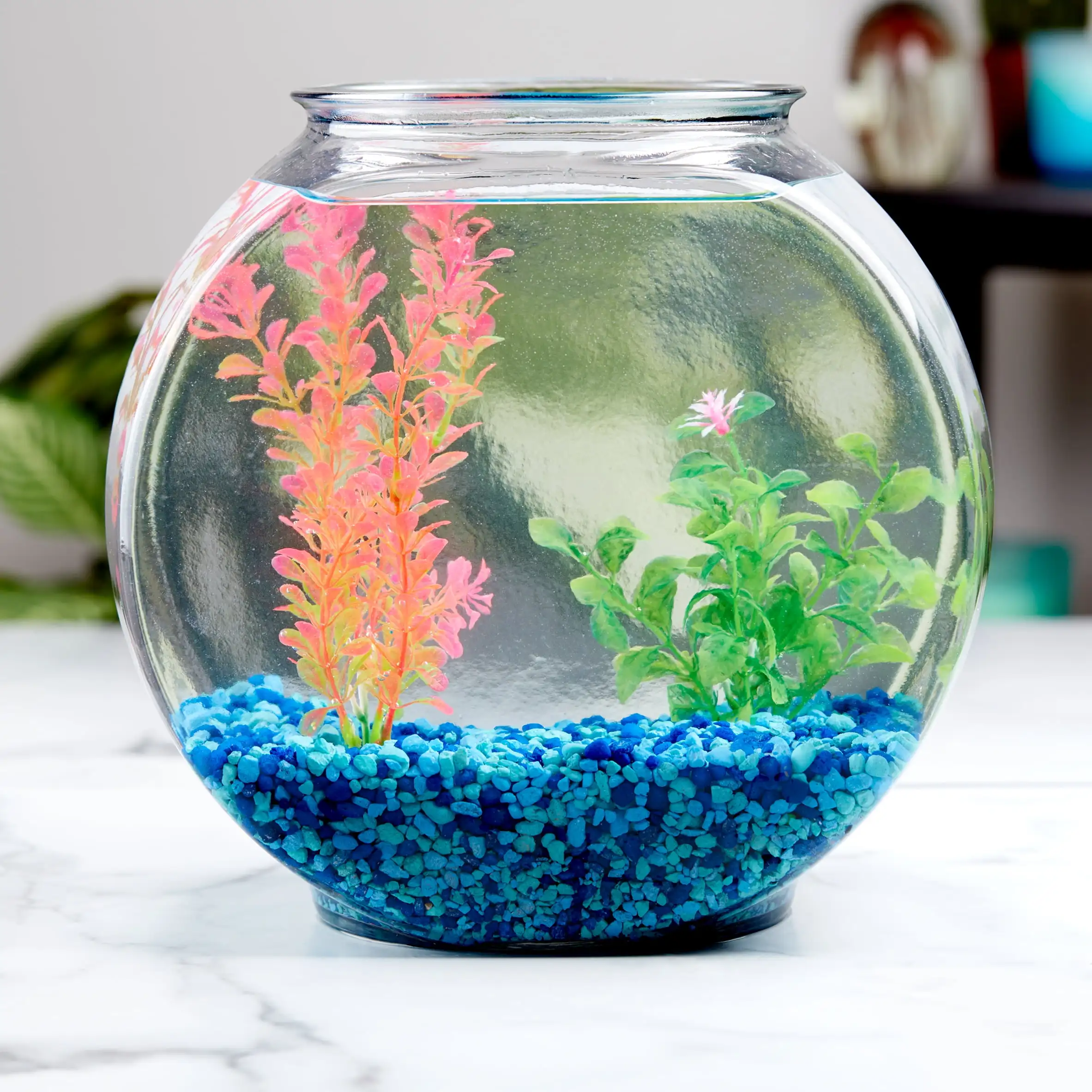 Drum Glass Fishbowl Clear Aquarium, Glass Aquarium Bowl, Betta Fish ...