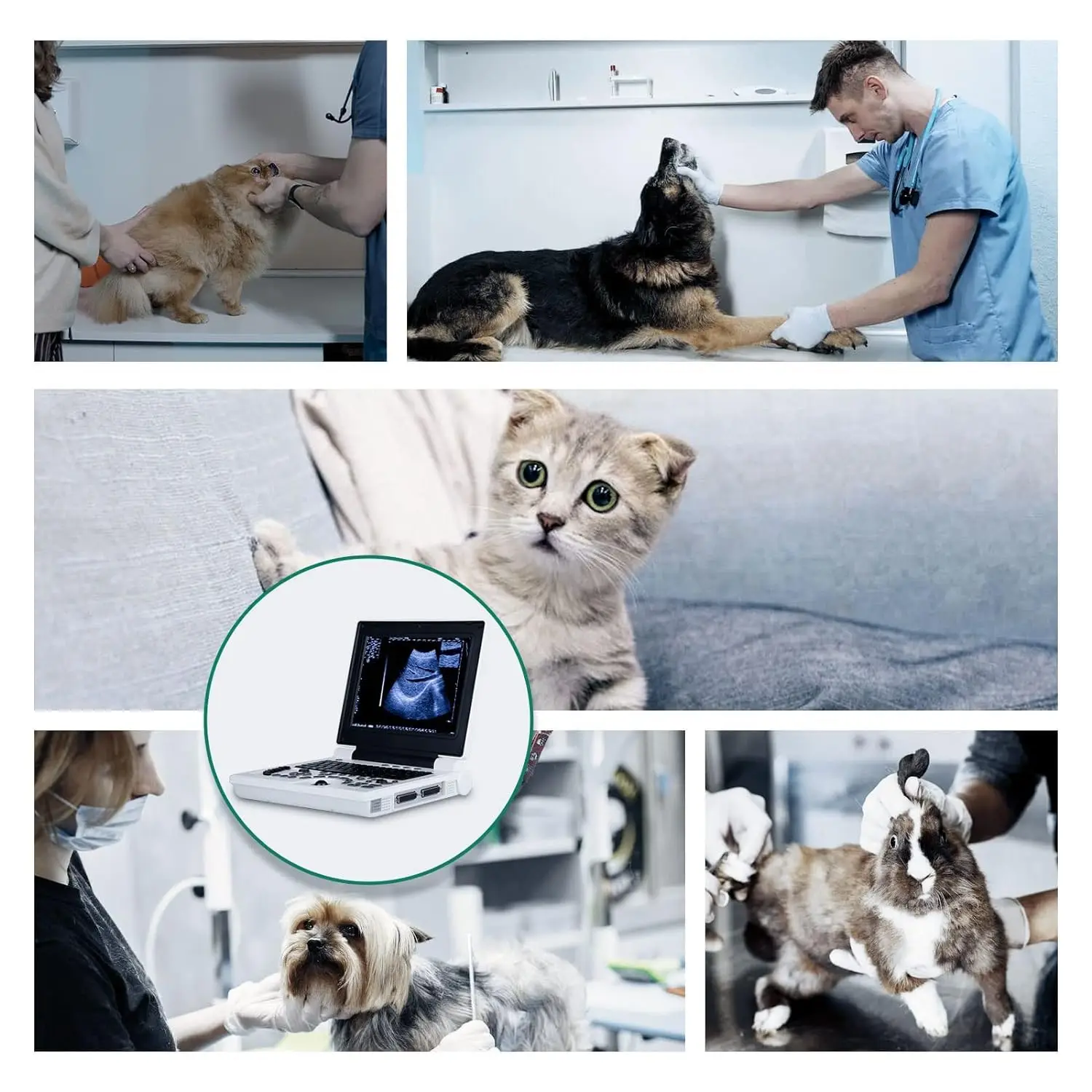 Ultrasound Scanner Veterinary for Pregnancy, Vet Portable B-Ultra Sound Scanner