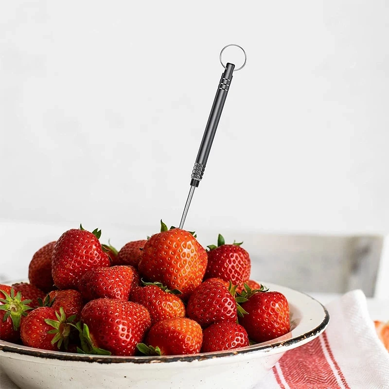 Titanium Outdoor EDC Portable Multi-Purpose Toothpick Bottle Fruit Fork Camping Tool Toothpick Tube 1PCS Random color