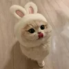 1pc Bunny Ears Cat Hat Themed Pet Costume Knit Fabric Set Comfortable Polyester Pullover Headwear for Cats & Small Dogs 4