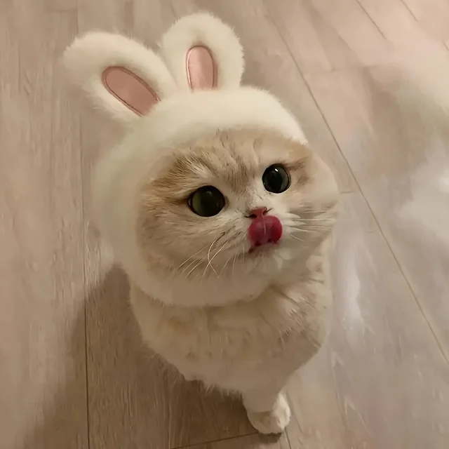 1pc Bunny Ears Cat Hat Themed Pet Costume Knit Fabric Set Comfortable Polyester Pullover Headwear for Cats & Small Dogs 4