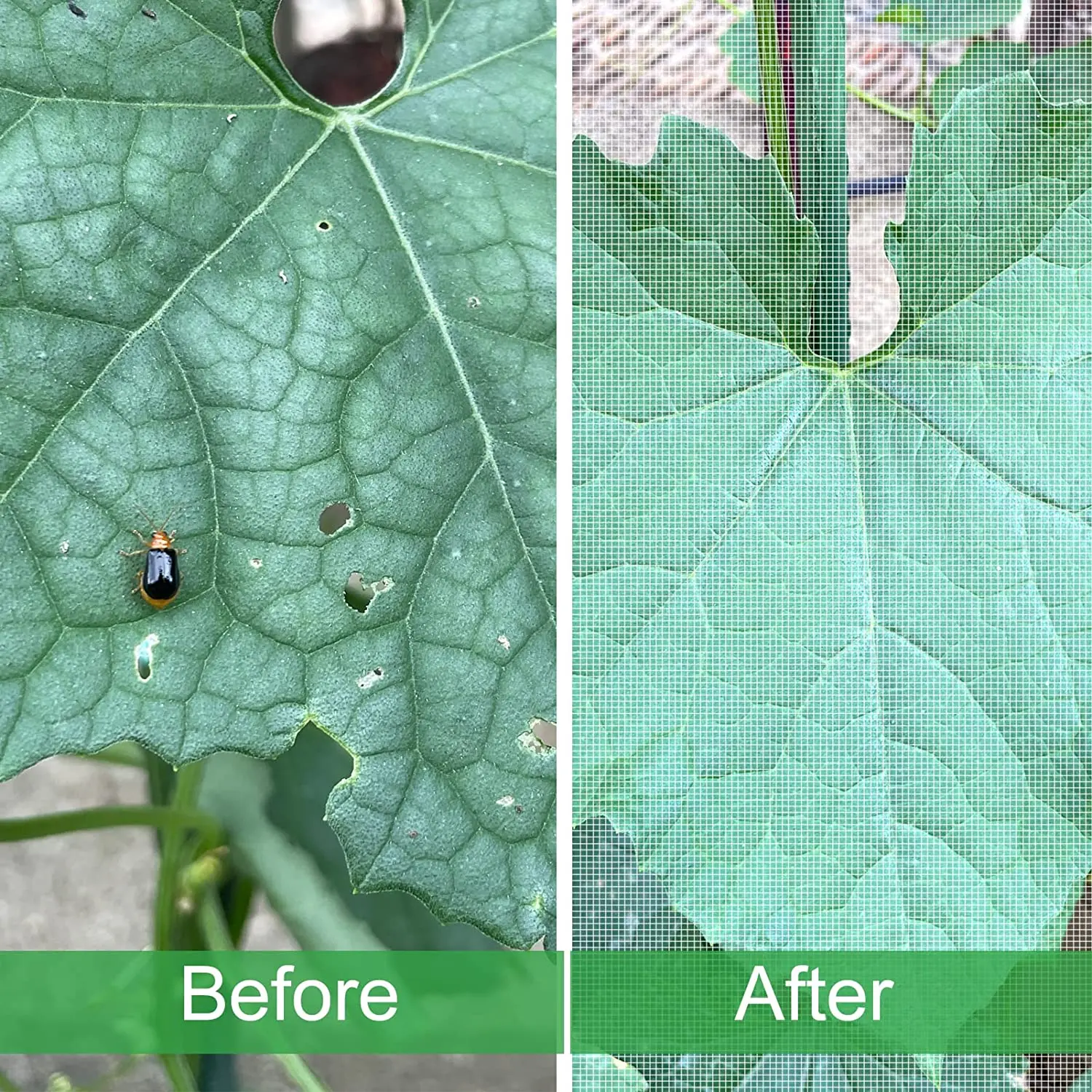 Slide image 6bd08f17a11d4337ad0c02fb63e1ab15