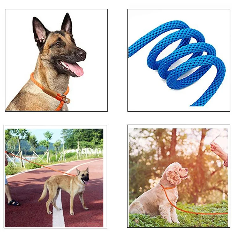 Dog Leash Training Slip Lead Dog Leash-6 FT Strong Rope Leash for No Pulling Pet Training-Ideal for Small Medium and Large