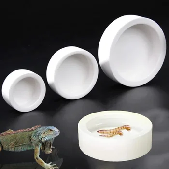 Ceramic Reptile Feeding Bowl 1