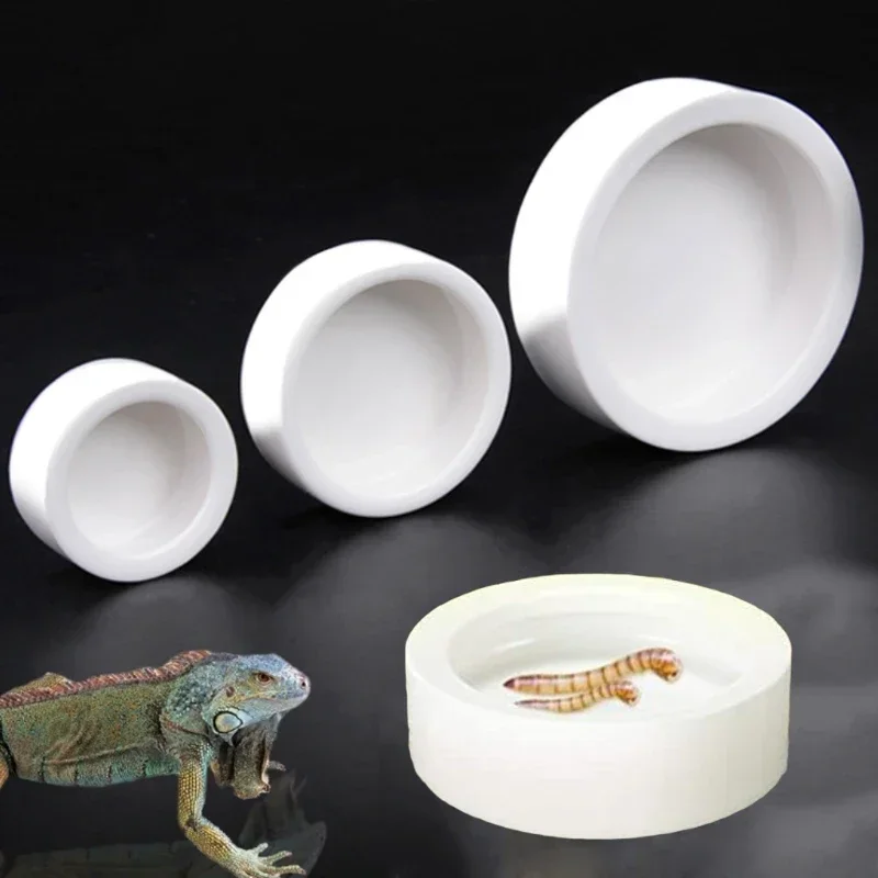 Reptile Food & Water Bowl 1