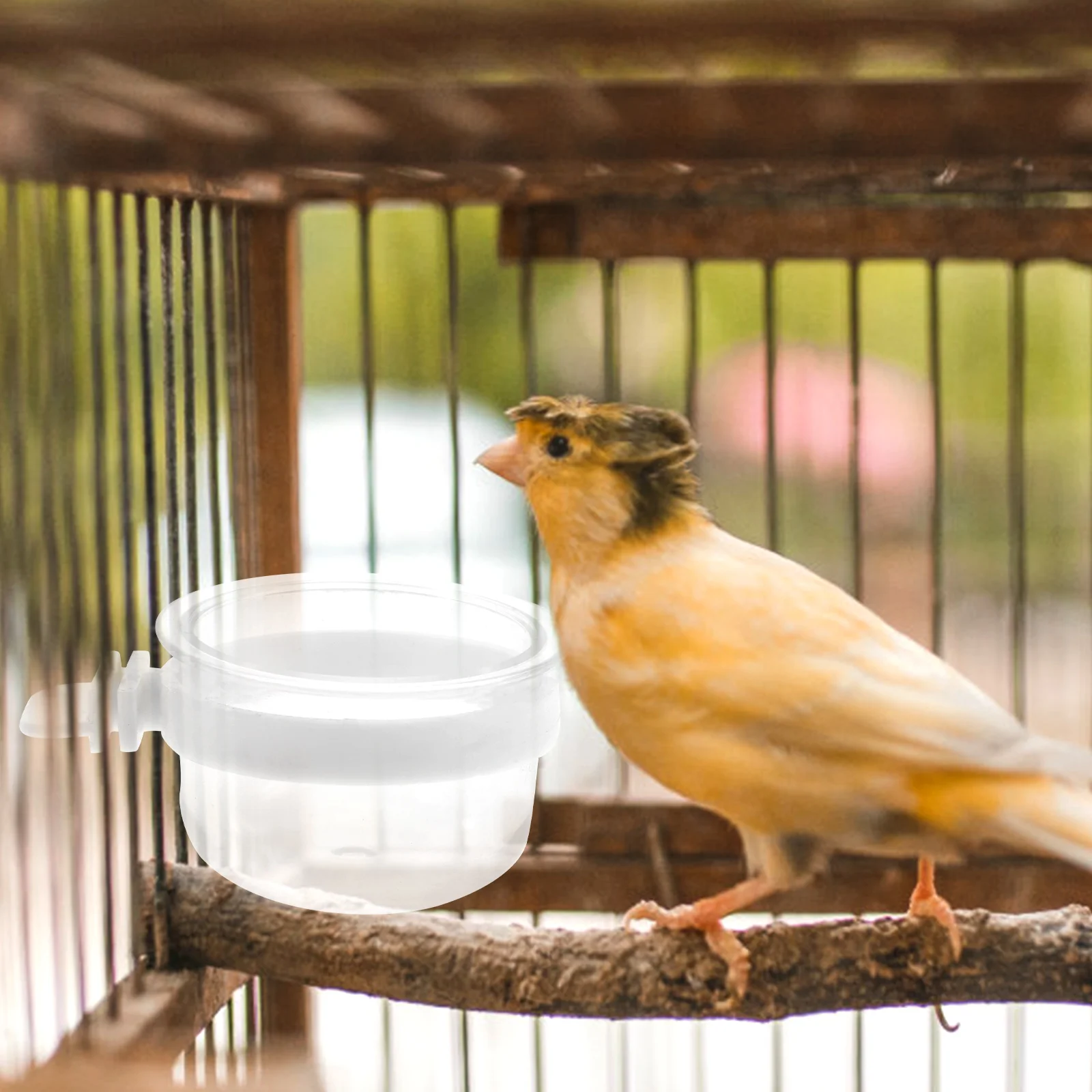 Bird Water Feeder Removable Clear Bowl Plastic Food Cup for Easy Hanging Parrot Hummingbird Cage