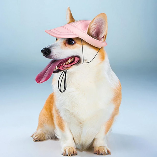 Gorros para el sol  Club de Perros y Gatos