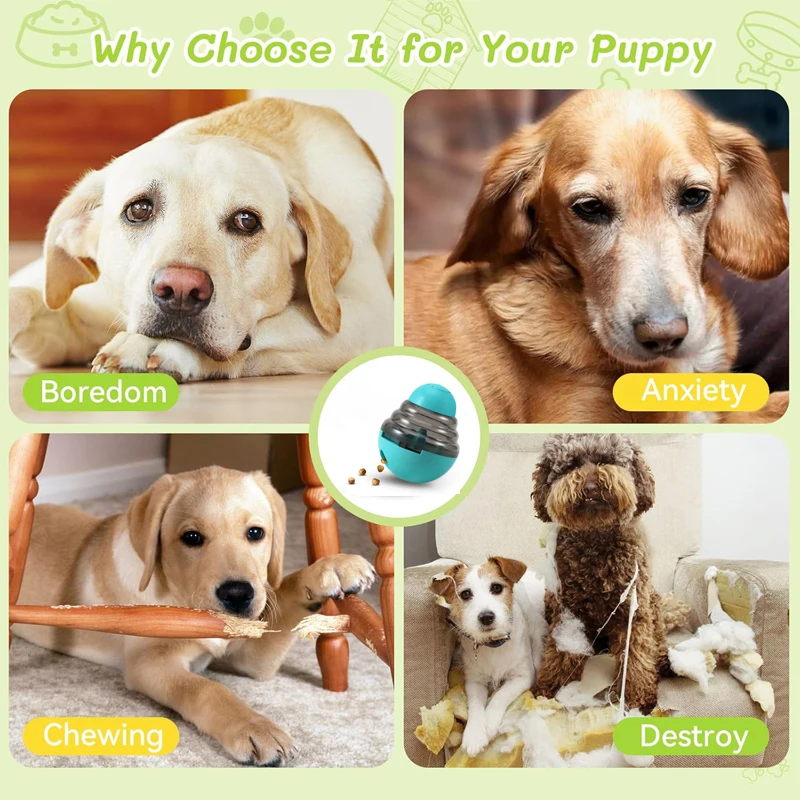 Interactive Pet Food Dispenser and IQ Training Toy