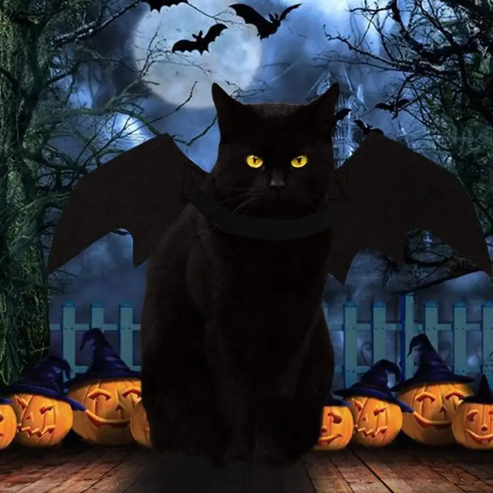 Halloween Products Dress Up Accessories Pet Bat Wings Cool Dog Cat Black Bat Costume