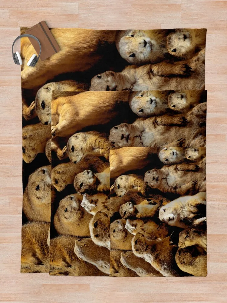 ������ ���� �ܿ� �ܿ� ħ�� ��並 ���� ���, ������