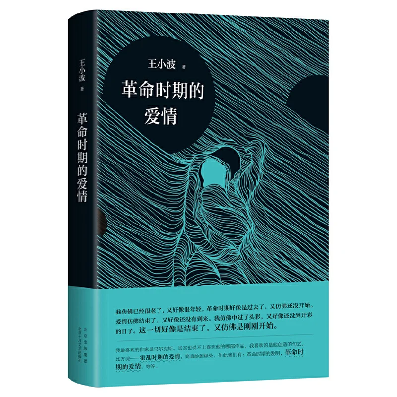 

Love in the Time of Revolution by Wang Xiaobo Chinese Edition Hardcover Book