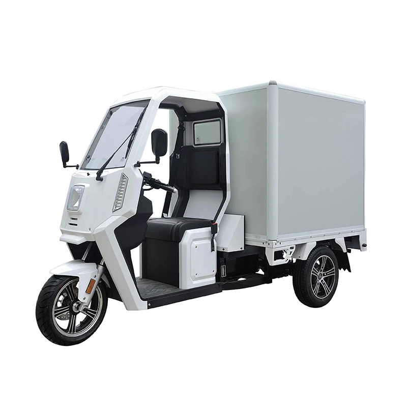 High Quality Courier Delivery Three Wheel Cargo Electric Tricycles Motorcycle Custom Logo Electro-tricycle For 3 People - Image 3