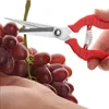 Garden Pruning Shears Potted Branches Scissors Fruit Picking Small Scissors Household Hand Tools Orchard Farm Gardening Tools 4