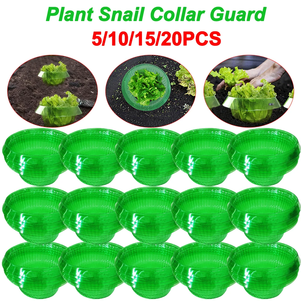 Reusable Snail Protection Collars for Plants