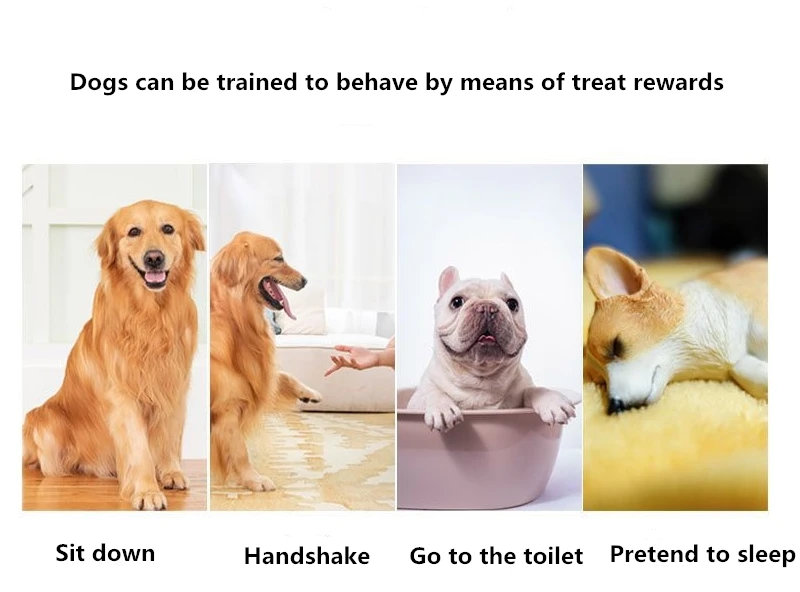 Dog Cat Pet  Training Clicker With Wrist Strap Training Supplies For Dogs Cats Pet Training Clicker Dog Supplies Dog Trainings
