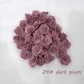 24 dark plum