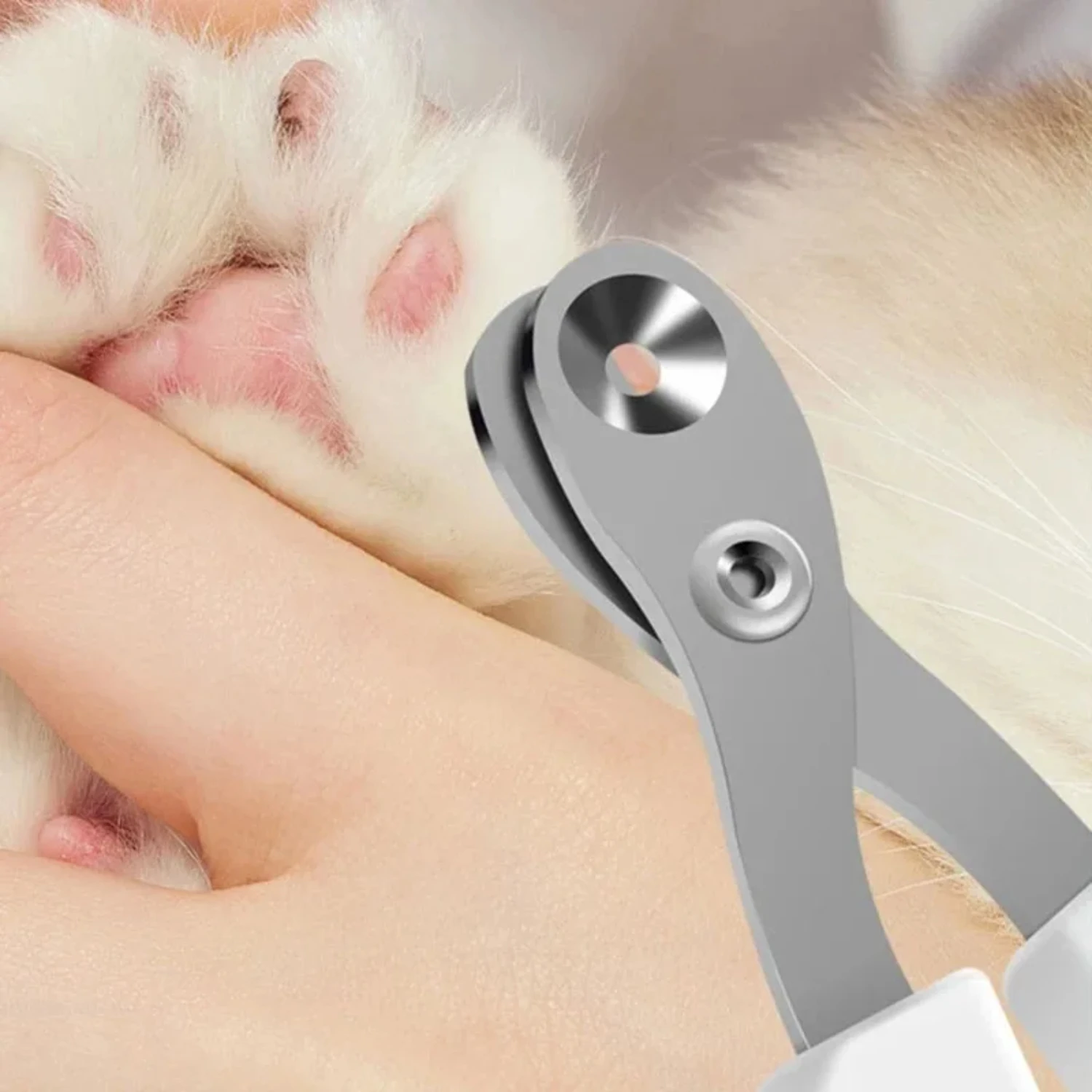 1pcs Cat Nail Clippers Small Cat Dog Stainless Steel Puppy Claws Cutter Pet Nail Grooming Supplies Pet Products