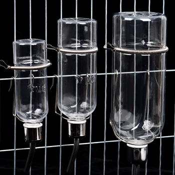 Pet Water Bottle 6
