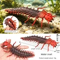 Water centipede