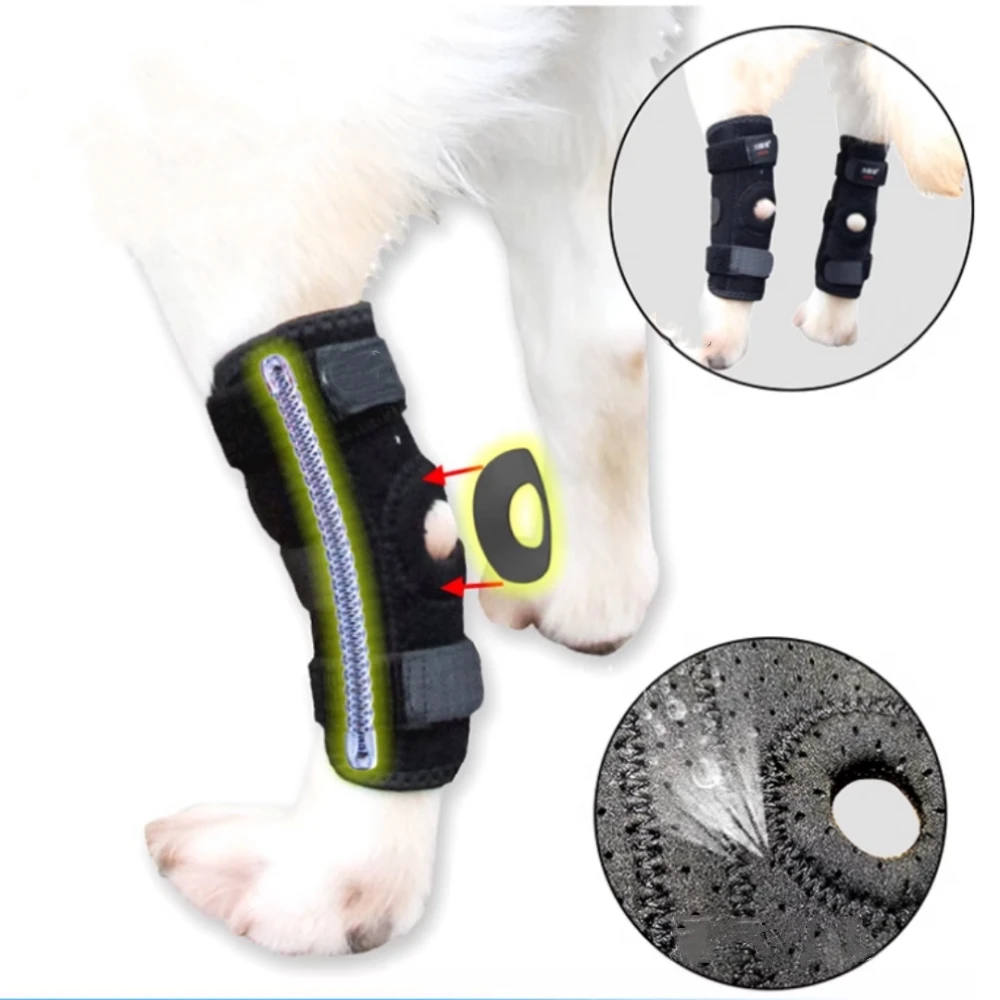 Amazon Dog Rear Leg Acl Brace Cruciate Care Knee Brace – Ortho Dog