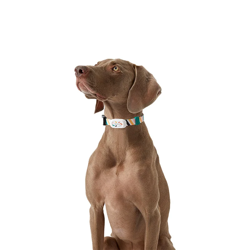 PETKIT Smart Personalized Dog Cat Collars adjustable Soft Nylon waterproof puppy Collar Tags Pet Accessories APP Control