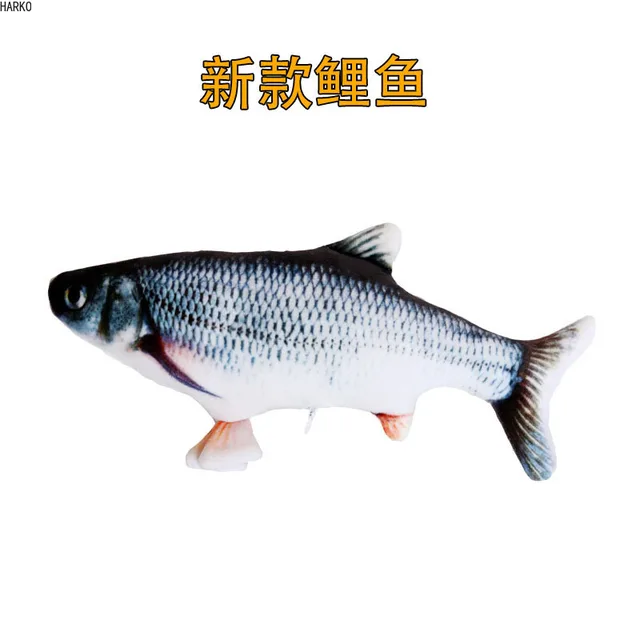 Image 19