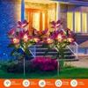 Orchid Rose Solar Lawn Lamp Outdoor Waterproof Flowers Landscape Lamp Solar Charging Decoration Light for Garden Yard Pathway 3