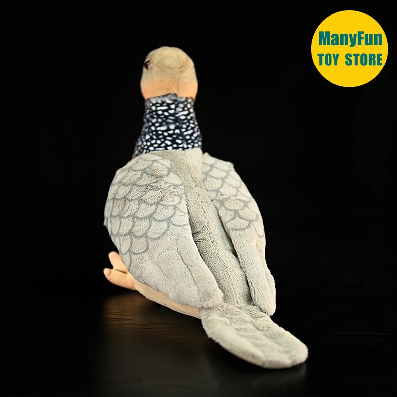 Spotted Dove Plush Toy Turtle Dove Plushie Wild Dove Peluche Lifelike Birds Stuffed Animals Simulation Doll Toy For Kids 4