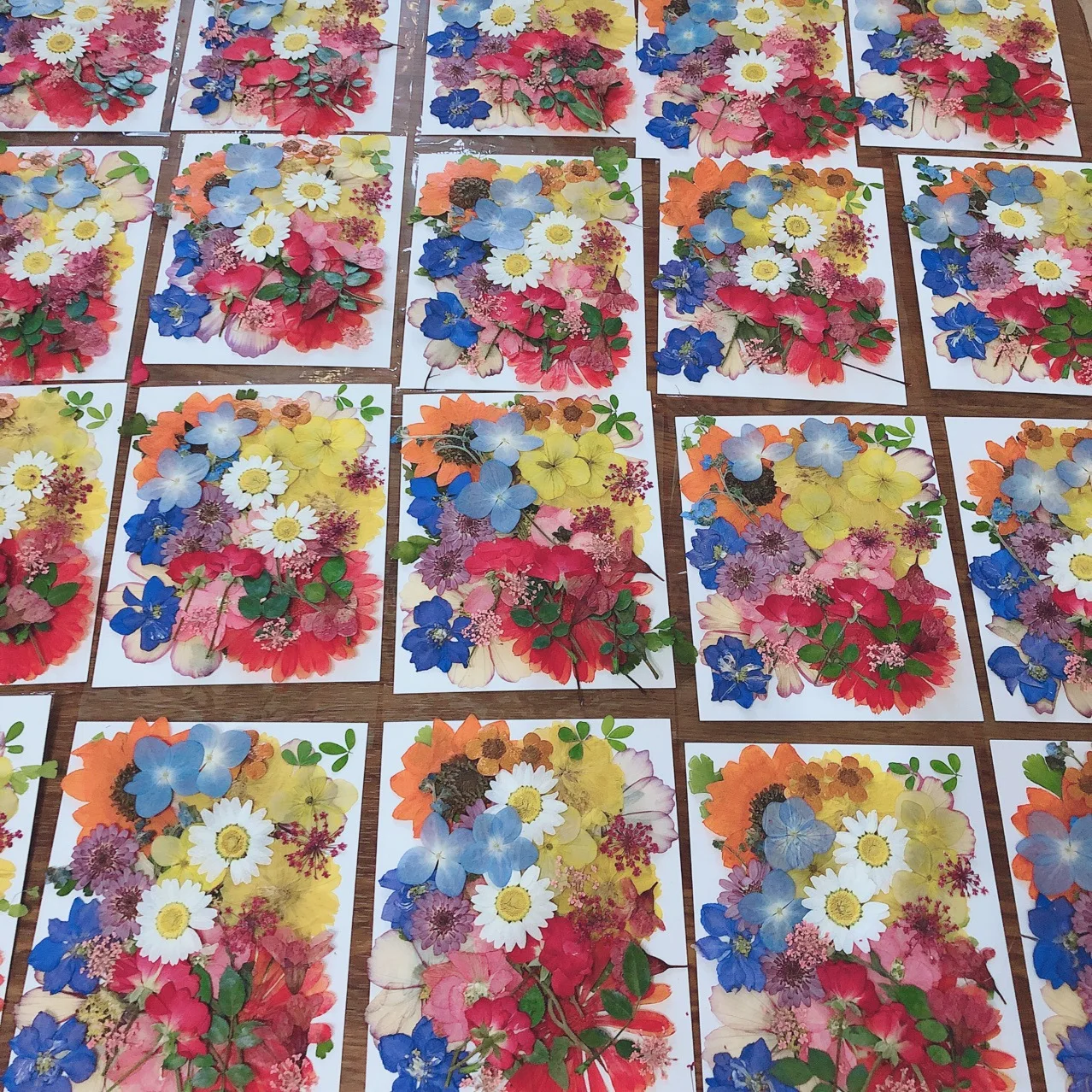 33PCS/Set,2Sets/Lot Real Natural Small Dried Pressed Flowers Leaves