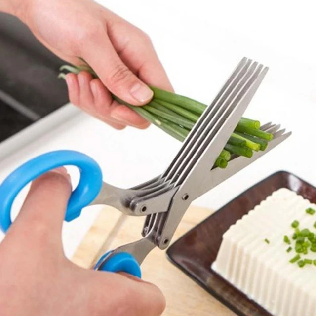 Herb Scissors Multipurpose 5 Blade Kitchen Herb Shears Herb Cutter with  Safety Cover and Cleaning Comb for Chopping Basil Chive Parsley