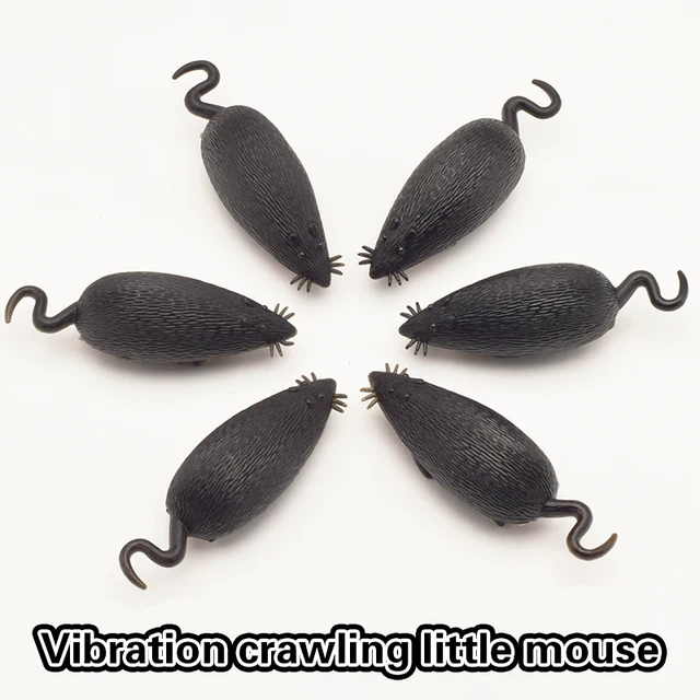 Funny Pet Cat Toys Interactive Electronic Toy Cockroach Mouse Spider For Cats Dogs Puppy Training Toys Pet Product Cats 3