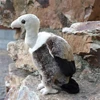 Vulture High Fidelity Anime Condor Bald Eagle Plushie Buzzard Plush Toys Lifelike Animals Simulation Stuffed Doll Kawai Toy Gift 1