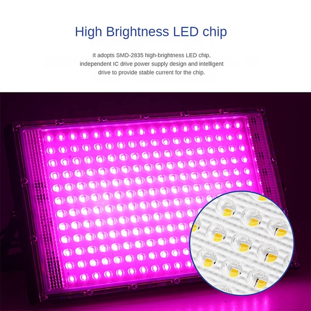 50/100/200/300W Led Grow Világos Teljes Spektrum Növény Növekvő Könnyű Fitolamutó Lámpák Beltéri Növények Virág Palántákhoz - Image 2