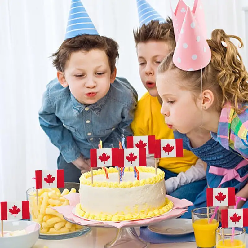 Canadian Cake Topper Canada Flag Toothpick Flags Small Mini Stick Cupcake Toppers Party Decoration Celebration Cake Flags