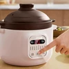 SUPOR 220V Slow Cooker Electric Casserole 2L Bird's Nest Stewpot Baby Supplement Cooking Pot Multifunctional Electric Stewpot 3