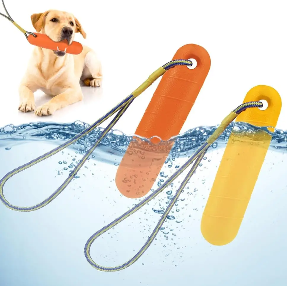 Floating Dog Toy 1