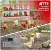 6 8 10 Grids Chicken Nesting Box for Laying Eggs Roll Away Nesting Boxes Easy Egg Collection Cleanable Pull Out Hen Roosting Box 4