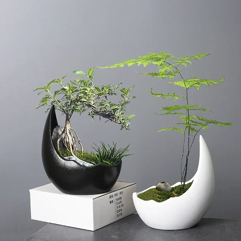 Piccoli contenitori per fiori in ceramica bianca M... – Grandado