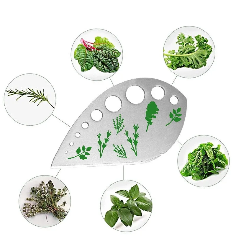 9Hole Stainless Steel Herb Stripper Multifunctional Herb Peeler Herb Vanilla Stripper Vegetable Leaf Remover Cutter Kitchen Tool 4
